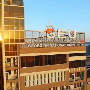Georgian National University SEU